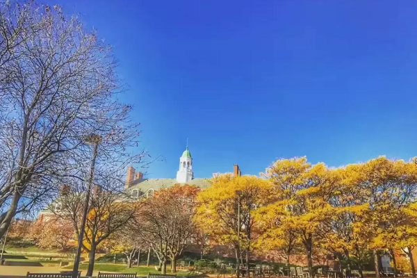 埃克塞特大学数学作业考试辅导机构